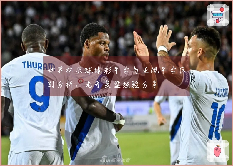 世界杯买球体彩平台与正规平台区别分析,老手复盘经验分享